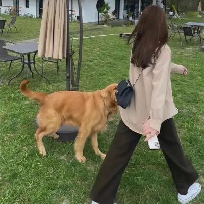 推小车的人